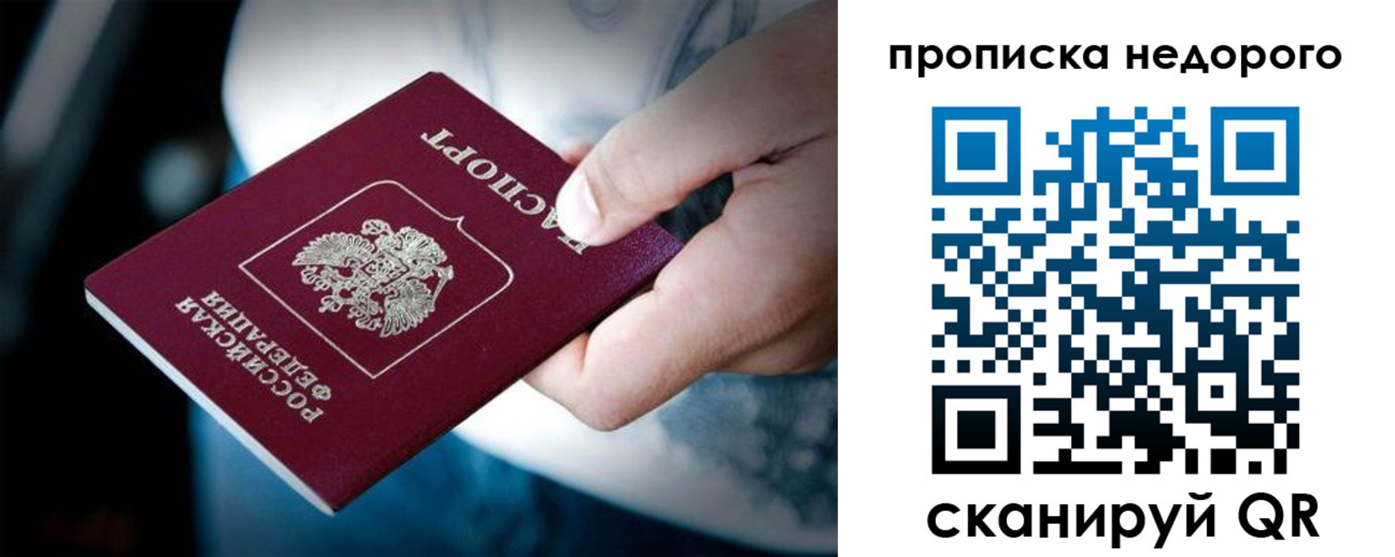прописка законно в Химках